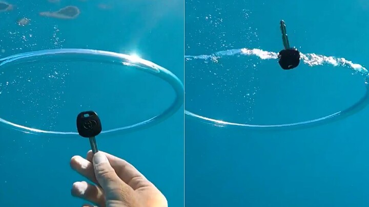 Đi lặn mà ném đồ vào giữa vòng nước thì sẽ xảy ra điều gì? Cảnh tượng kỳ diệu xuất hiện rồi!