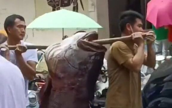 You’ve been lifting it since morning—aren’t you tired yet this afternoon?