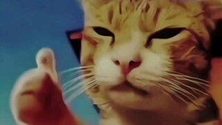 ⚡Tahan tantangan tertawa⚡! Datanglah jika Anda berani melihatnya! ⚡Jika kamu tidak tertawa dan memuk