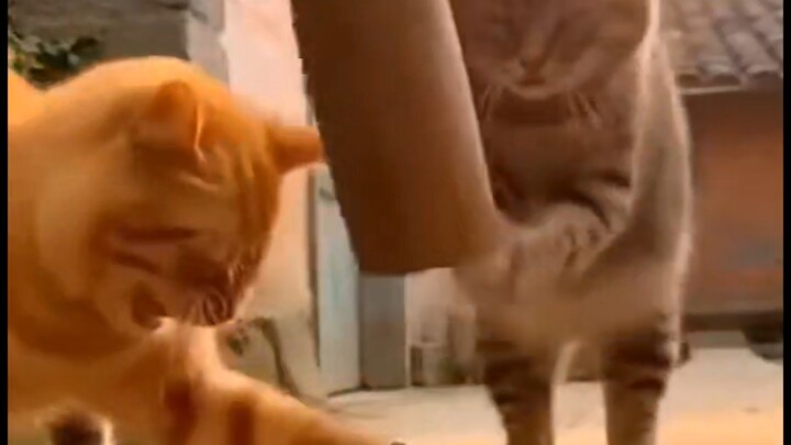 Kalau kamu juga bakal ngeluh kok