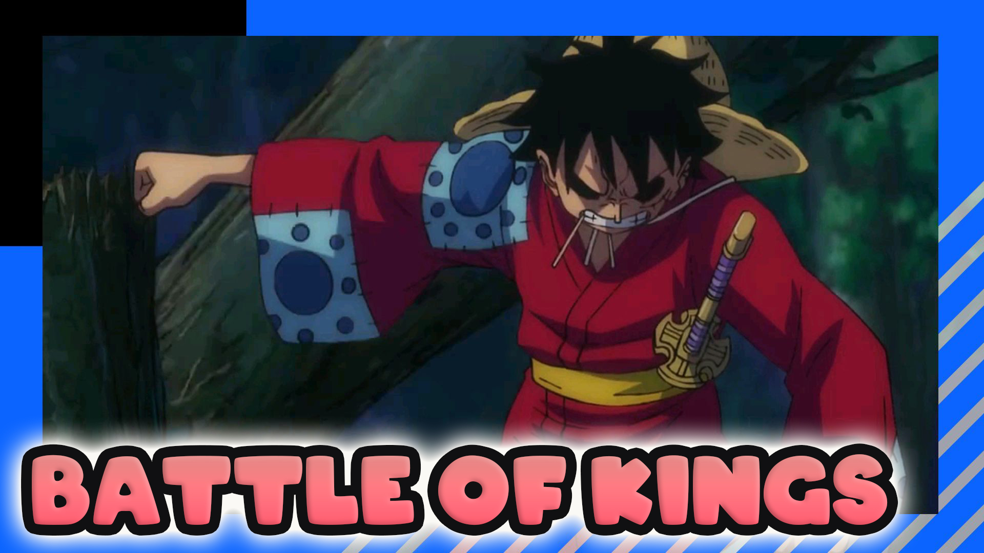 The Battle Of Kings One Piece Bilibili