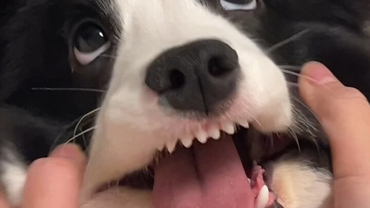 Mama, are you done messing around?