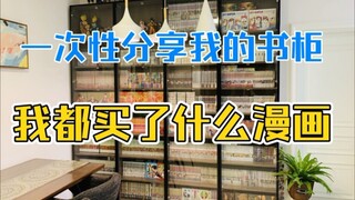 一次性分享我的书柜，看看我都买了哪些漫画，看看我们口味一样不