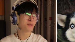 [Confession Level] Don't laugh challenge! I laughed so hard that I changed my pants... High energy t