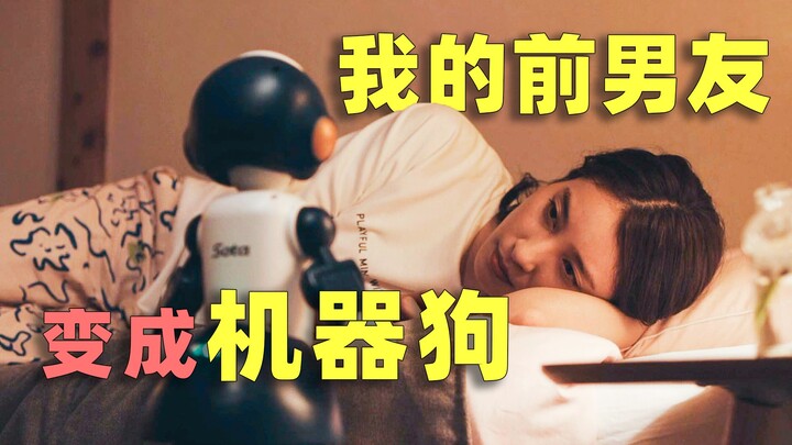 My ex-boyfriend turned into a robotic dog, but that doesn’t stop us from having fun! "Wonderful Worl