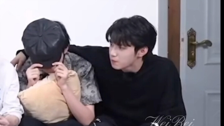 Lưu Văn: Không phải anh khoác lác đâu, anh thật sự nuôi một con đấy!