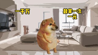 这你们会怎么选啊