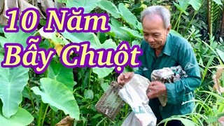 Đi Bẫy Chuột Rừng, Bẫy Được Loài Chuột Hung Dữ Nhất