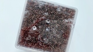 [Cuộc sống] Slime: Bom kim loại nặng