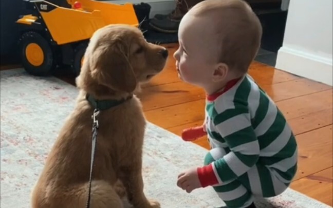 The baby has his first friend. Haha, he wants to kiss her as soon as they meet.