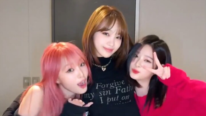 【崔叡娜×金采源×金珉周】同框跳舞！'Perfect Night' 231109 challenge 这是我敢想的吗！