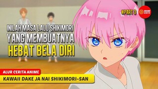 #3 DULU TOMBOY SEKARANG JADI GADIS IMUT & KEREN - ALUR CERITA ANIME KAWAII DAKE JA NAI SHIKIMORI-SAN