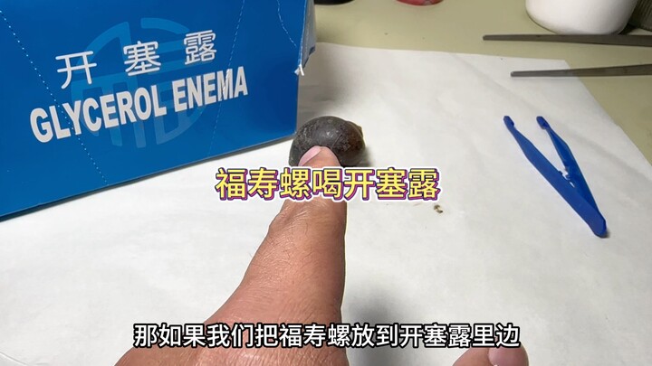 Look at you, you left without saying a word