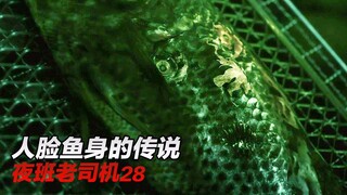 【夜班老司机】鱼身人脸会说话，男孩为除邪恶老爹灭了全家