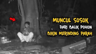 🔴 655- MENANGIS !!! MUNCUL SOSOK DARI BALIK POHON