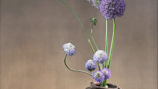 สอนจัดดอกไม้จีน Allium grandiflorum และ Cordyceps sinensis #การจัดดอกไม้แบบสำรวจ #การจัดดอกไม้แบบจีน