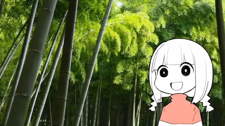 当你感到迷茫时，不妨来听听沃玛说过的话。
