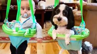 Cute Is Not Enough 2 - Dog Lovers Babies Compilation
