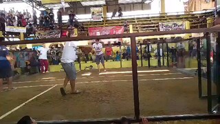 2hits sa darasa batangas 2nd fight            boston kelso  isang magandang patama lang  champion na