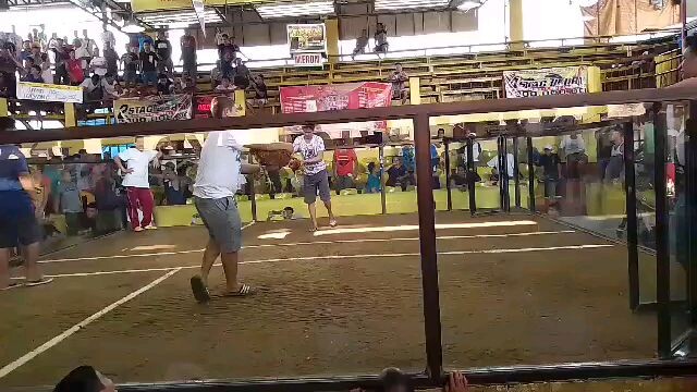 2hits sa darasa batangas 2nd fight            boston kelso  isang magandang patama lang  champion na