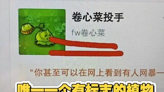 卷心菜辉煌的一生