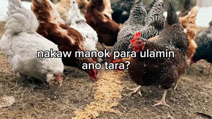 Ano tara?