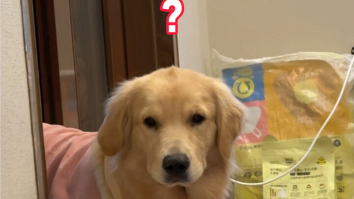 Custard Bun: You two最好 not sleep too soundly at night.