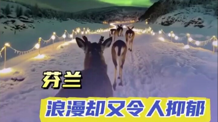 الرومانسية الفنلندية المفعمة بالجمال لكن الكئيبة في الوقت نفسه: وراء أسعد بلد في العالم يكمن وحشة قص