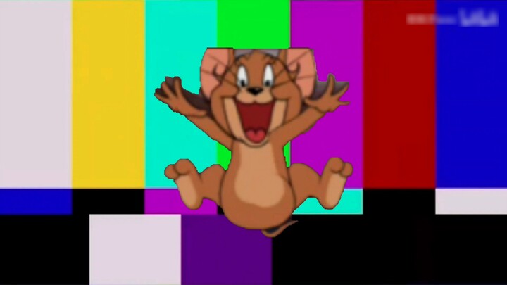 Jerry's Cat and Mouse Experience