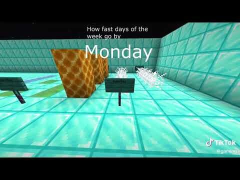 Minecraft tiktok
