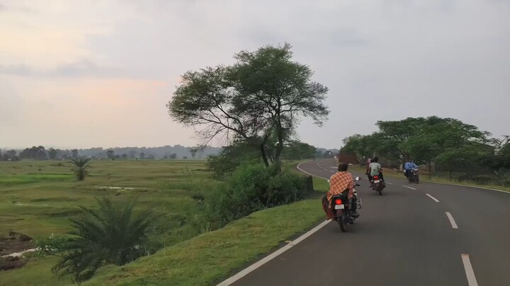 amazing vibe of nature