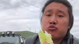 Transformasi tuan muda suku serigala💪, dia mulai menikmati rasa makanan vegetarian!