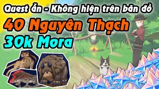 Quest ẩn từ 3.0 | Quest không hiện trên bản đồ | 40NT + 30k Mora | Sumeru Genshin Impact