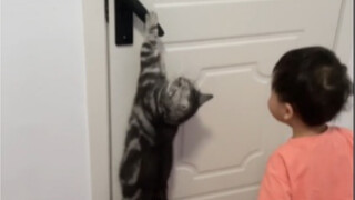 What is it like to grow up with a group of obedient kittens?