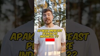 Apakah Mrbeast pernah ke Indonesia, Ternyata ini fakta nya