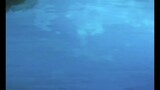 [ชื่อรหัสหยวน | หยวนจี] โอ้พระเจ้า ฮั่นหยวนเปาตกลงไปในน้ำ!