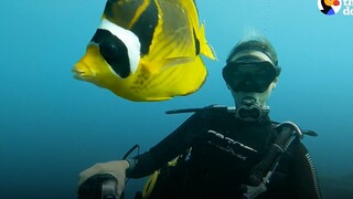 Lady dives for 16 years and encounters a fish alien who gives her gifts! [CC]