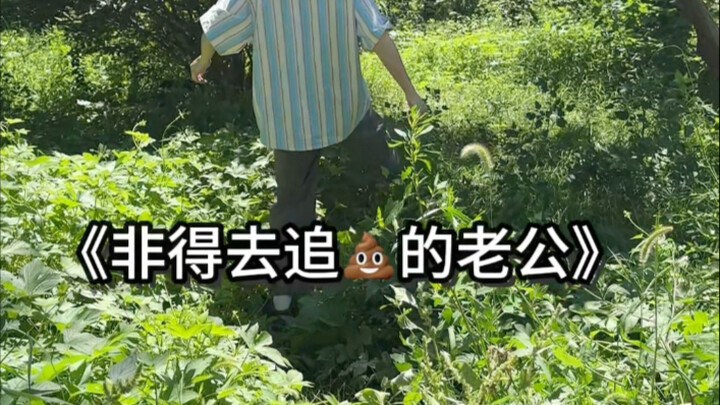 อะไรวิ่งไปนะ??