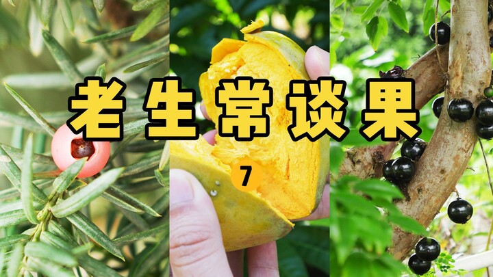 【صياد الفواكه】 الحلقة 7: نقاش متكرر عن الفواكه! تعرّف على الفواكه البرية الشائعة التي أرسلها المعجبو