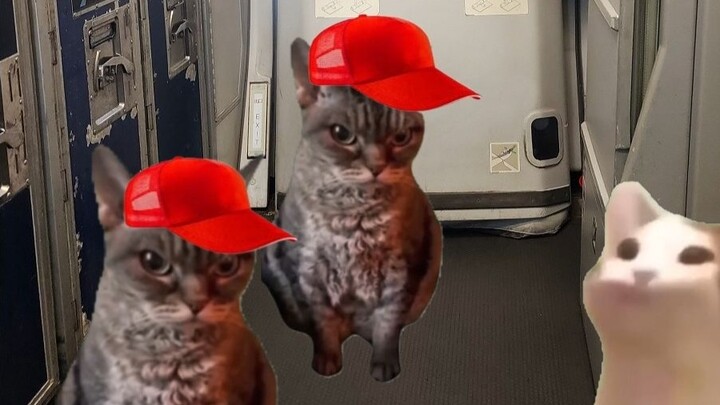 ความสิ้นหวังที่แท้จริงของคนการบินพลเรือนคืออะไร?