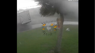 [Devil May Cry 5] I am the storm that draws near!!!!!!!!