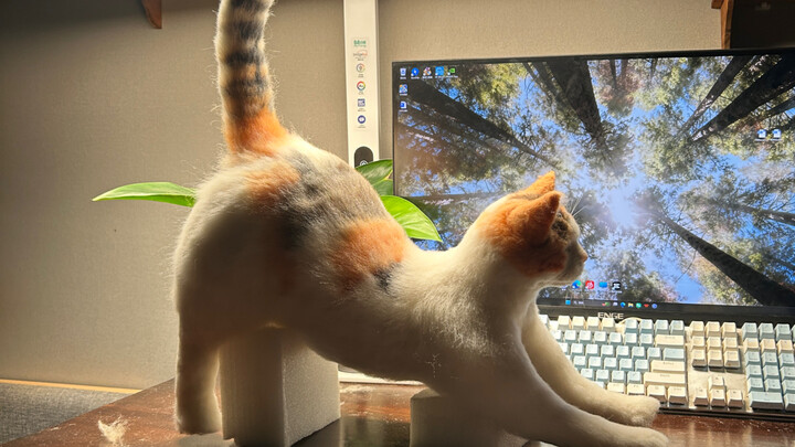 Tentang kucing buatan tangan saya
