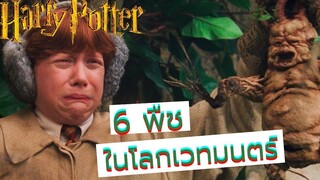 6 พืชในโลกเวทมนตร์ "แฮร์รี่ พอตเตอร์"