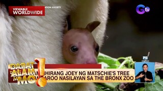 Pukpok-palayok, nauwi sa isang wedding proposal | Dapat Alam Mo!