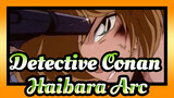 [Detective Conan] TV176(190)-1 Haibara Arc_C