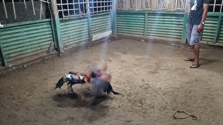 September 10, 2025 sparring exercise