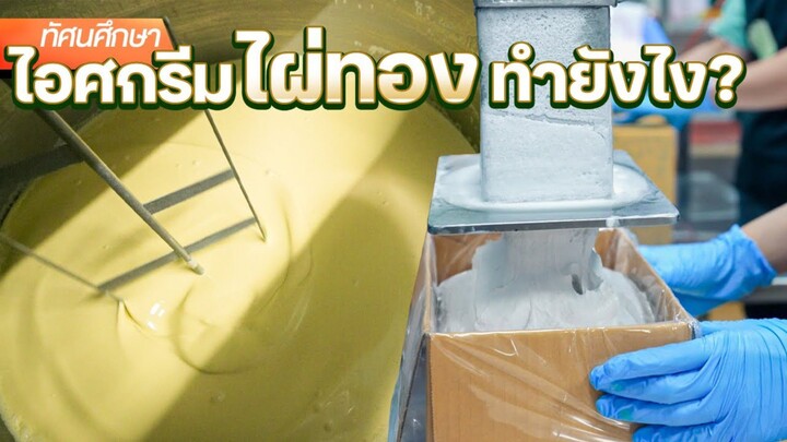 🍦ไอศกรีม “ไผ่ทอง” ทำยังไง ? - ทัศนศึกษา