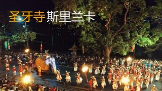 斯里兰卡 | 大象游行 | 圣牙寺 | Kandy Esala Perahera -