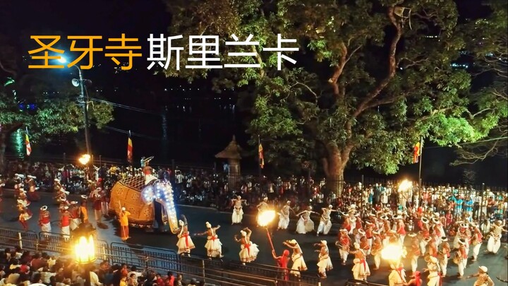 斯里兰卡 | 大象游行 | 圣牙寺 | Kandy Esala Perahera -