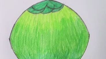 🎨 Easy Coconut Drawing 🥥 | How to Draw a Coconut Step by Step
